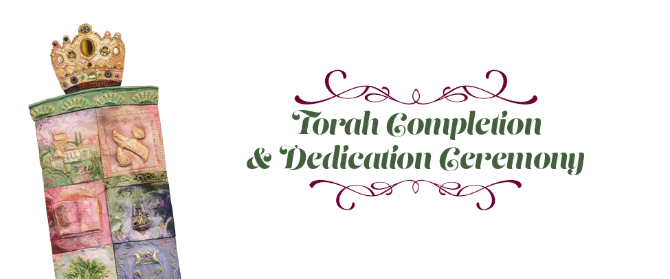 Torah Campaign